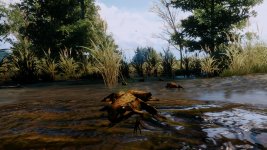 witcher3 2015-10-28 22-45-26.jpg