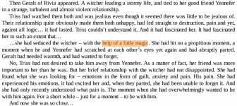 dammit triss thats illegal.PNG