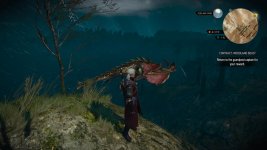 Dead Wyvern floating.jpg