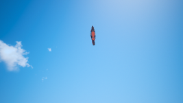 7 Jump 2.png