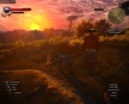 another glitch The Witcher 3.jpg