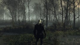 witcher3 2015-12-14 16-24-50.jpg