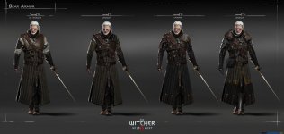 the_witcher_3_wild_huntbear_armour.jpg