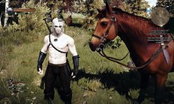 witcher3 2015-12-25 02-01-16-745.jpg