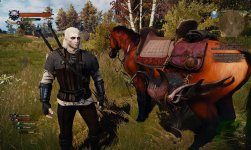 witcher3 2015-12-25 02-03-08-336.jpg