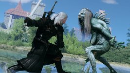 witcher3 2015-12-27 04-08-15_2.jpg