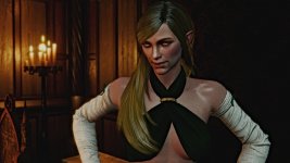 witcher3 2015-12-31 01-11-07.jpg