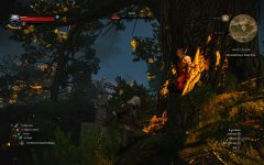witcher3 2016-01-10 02-19-02-10.jpg