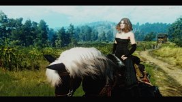 witcher3 2016-01-26 05-58-28.jpg