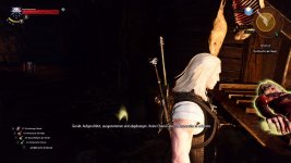 witcher3 2016-01-31 05-31-05-221.jpg