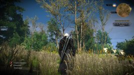 witcher3 2015-12-14 20-38-15-92.jpg