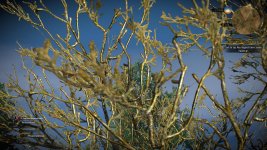 witcher3 2015-12-14 20-39-16-27.jpg