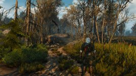 witcher3 2016-03-13 16-08-58-643.jpg