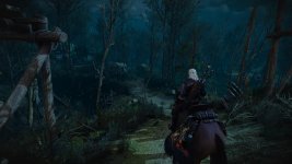 witcher3 2015-12-22 11-12-47-482.jpg