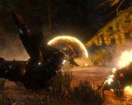 witcher3 2016-04-05 01-36-17-12.jpg