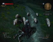 witcher3 2016-04-05 15-02-05-36.jpg