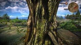 witcher3 2016-05-02 19-48-51-40.jpg