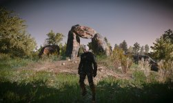 witcher3 2016-05-10 05-49-40-17.jpg