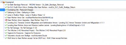 Witcher mods.PNG