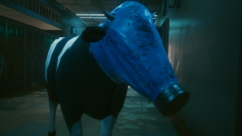 photomode_13022021_041753.png