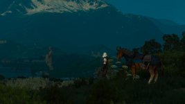 witcher3 2016-06-08 23-50-05.jpg