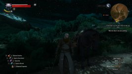 The Witcher 3 31.5.2016 15_18_35.jpg
