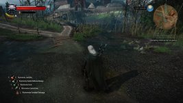 witcher3 2016-06-12 15-25-50-68.jpg