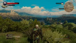 witcher3 2016-06-18 14-20-47-36.jpg