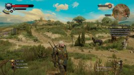 witcher3 2016-06-18 14-36-44-86.jpg