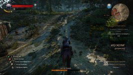 witcher3 2016-07-10 21-03-57-18.jpg