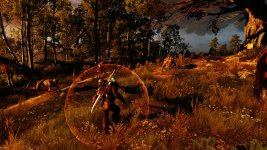 The Witcher 3 HighRes 2016.08.16 - 18.04.43.09.jpg