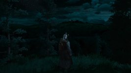 The Witcher 3_ Wild Hunt_20160823200057.jpg