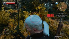 The Witcher 3 10.22.2016 - 13.59.42.01.jpg