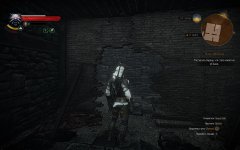 witcher3 2016-10-23 17-18-58-13.jpg
