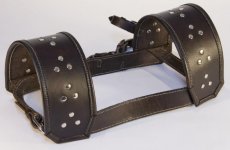 Harness Front.jpg