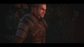 Geralt - VGX 1 -1.jpg