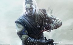 the_witcher_3_wild_hunt_game_1440x900_75828.jpg