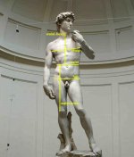 david_statue_proportions.jpg
