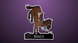 Roach.jpg