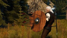 witcher3_2017_04_04_10_16_58_771.jpg