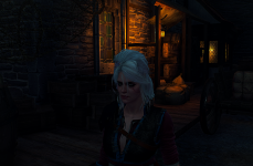 The Witcher 3 Screenshot 2021.09.01 - 23.35.56.24 (2).png