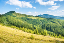 1632091061076.png 1632091061076.png