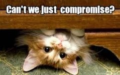 compromise cat.jpg