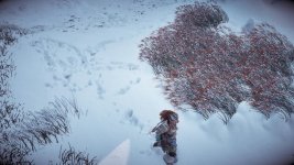 Horizon Zero Dawn™_20171107233829.jpg