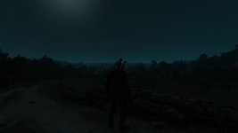 witcher3 2018-07-01 14-20-25.jpg