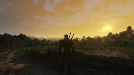 witcher3 2018-07-01 14-21-06.jpg