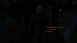 witcher3 2018-07-01 14-27-22.jpg