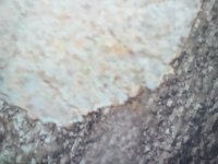 20221110_035129.jpg