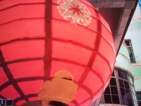 20221110_040535.jpg