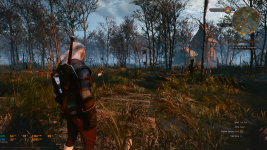 What is up with this grass?? No mods, fresh install of Witcher 3 running on  DirectX12. : r/witcher